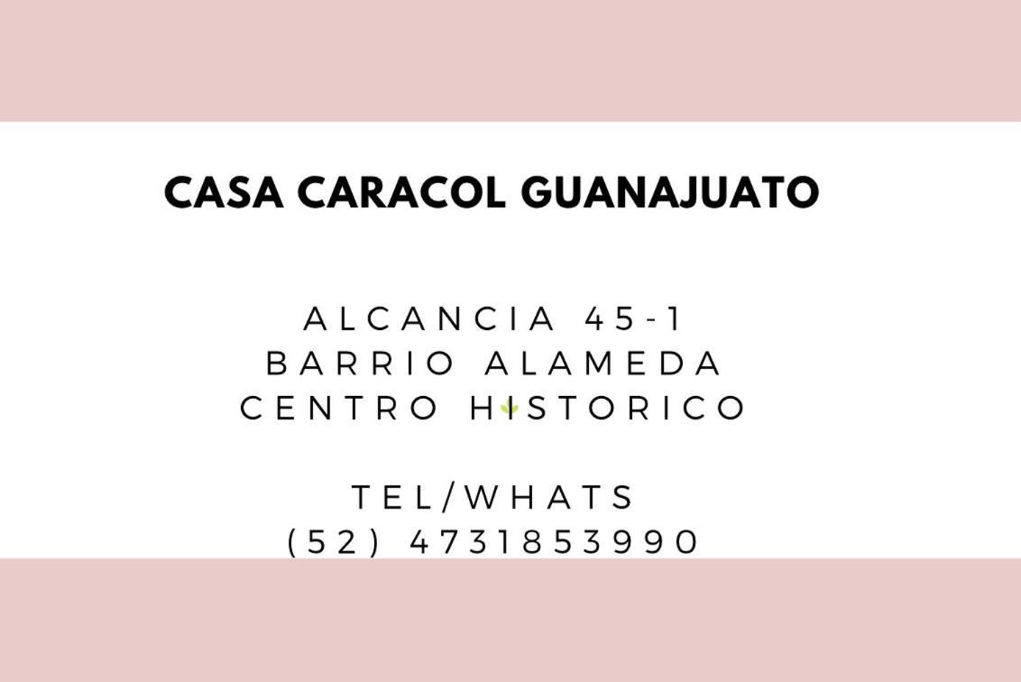 Casa Caracol Appart hôtel Guanajuato