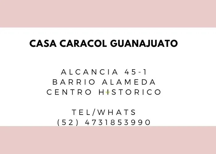 Casa Caracol Guanajuato